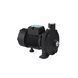Насос поверхностный поливочный Pumpman TCP158 Нmax 33м Qmax 6куб.м 1"х1" 750 Вт (чугун/алюминий) CV029754 фото 3